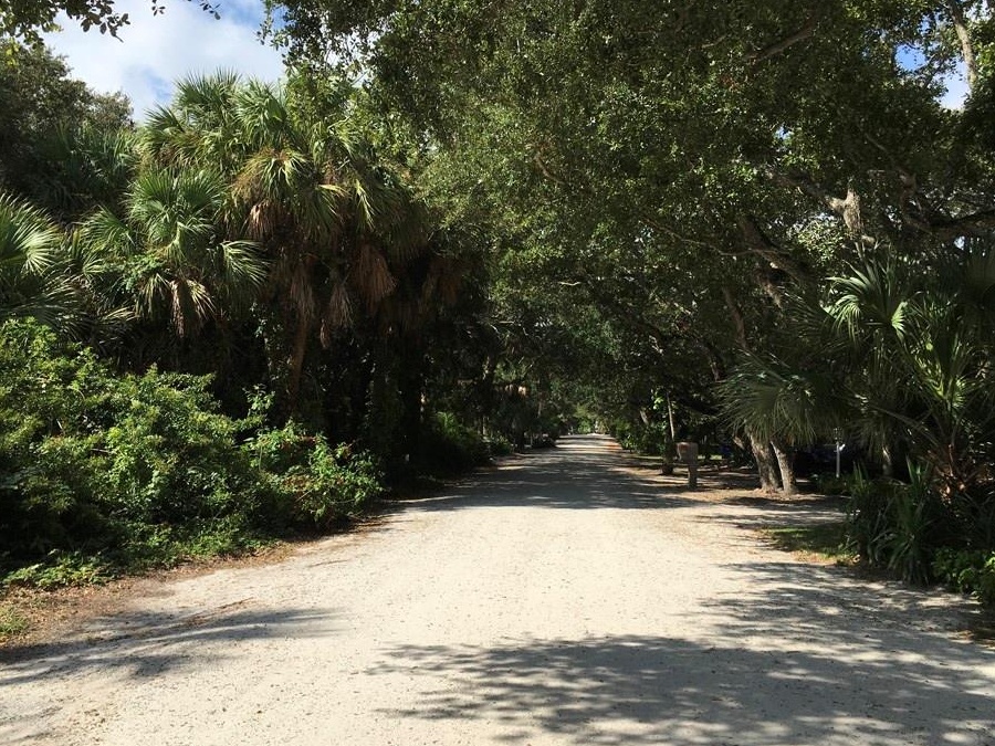 View west on Shell Lane in Summerplace in Vero Beach with shell lane road and tree canopy